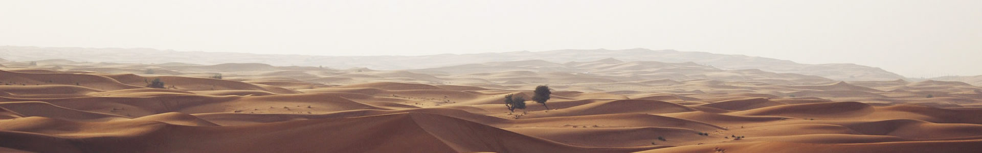 ݼʤ޹˾